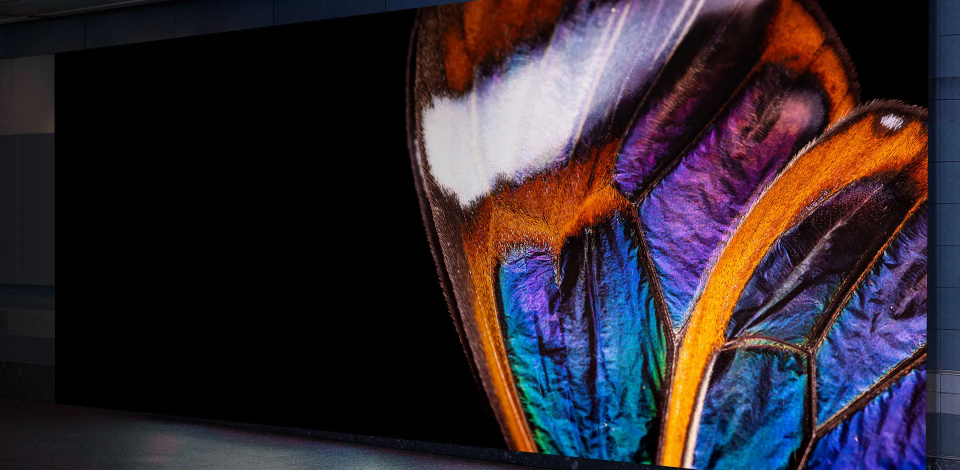  Indoor LED Display
