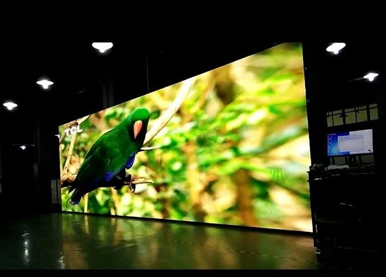 Best Indoor Advertising LED Display Screen: High Quality Supply